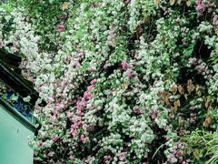 -深圳国际园林花卉博览园