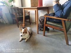 -辛庄国际文化艺术区