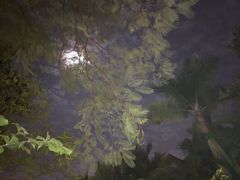 -厦门日月谷温泉渡假村