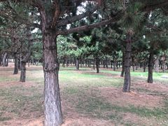 -山东大学(威海校区)