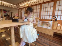 -豆柴町-柴犬主题狗咖(红鼎国际C座店)