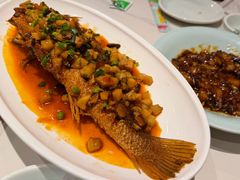 -新侨小馆(东直门北小街店)