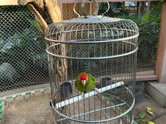 -南宫五洲植物乐园