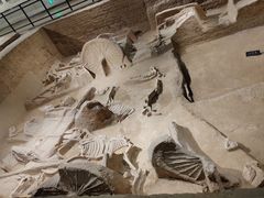 -洛阳周王城天子驾六博物馆