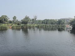 -新江湾城公园