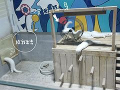 -海合安青岛极地海洋公园