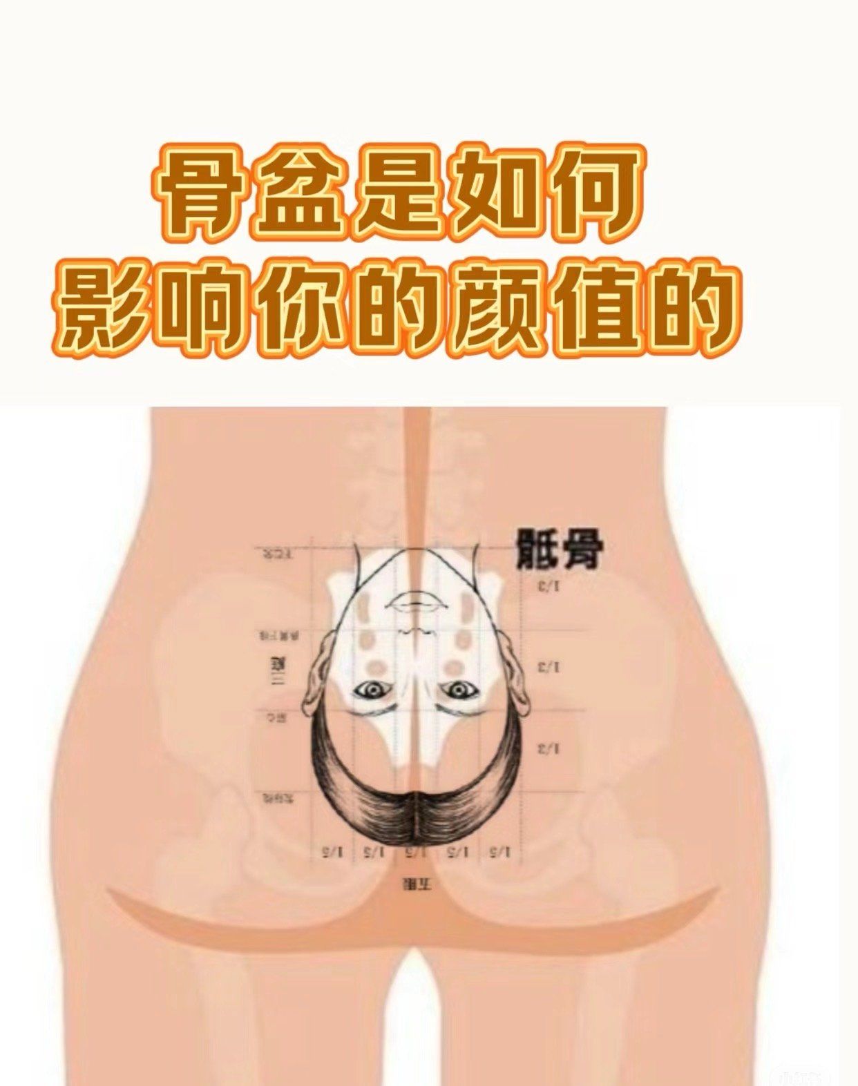 骨盆竟然能影响颜值?这可不是开玩笑!