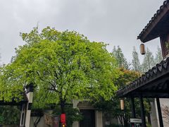 -巡塘古镇
