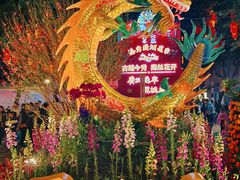 -越秀西湖花市(广州城市广场花卉店)