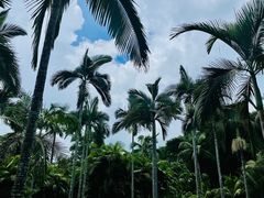 -中国科学院西双版纳热带植物园