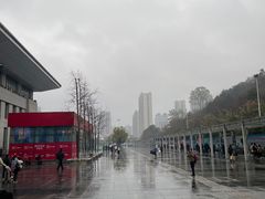 -岳阳东站