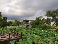 -厦门园林博览苑