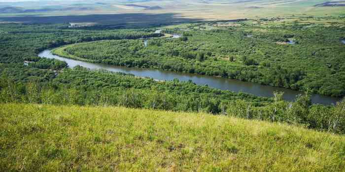 铁山冷饮(第一分店)-"昨晚就惦记的雪糕,太冷没敢吃结果景区里.