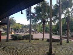 -清迈夜间动物园