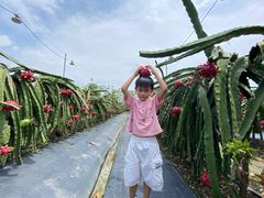 -尚果生态采摘园