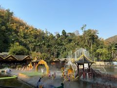 -西双版纳原始森林公园