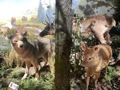 -陕西自然博物馆