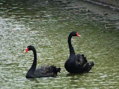 -长白岛森林公园