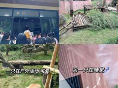 -杭州动物园