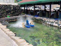 -京北渔家傲