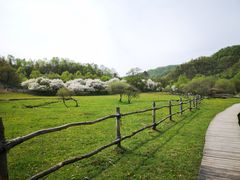 -大水川景区