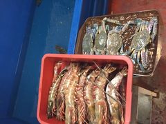 -ZF Seafood Restaurant 卓峰海鲜餐