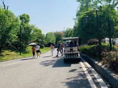 -枫香湖儿童公园