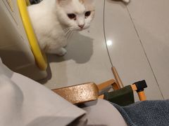 -平行世界·猫咖(首经贸店)