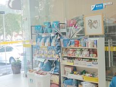 -米苏动物医院·犬猫专科·骨科外科内窥镜