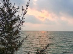 -北海金海湾红树林生态旅游区