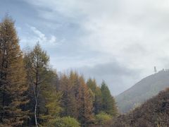 -驼梁风景区