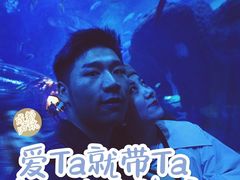 -成都浩海立方海洋公园