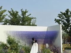 -怪咖·joker陈楠