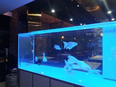 -黄鱼炙夜(华家池店)