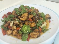 爆炒狗鱼-煲来饱去冷水鱼