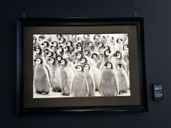 -罗红摄影艺术馆