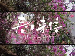 -深圳国际园林花卉博览园