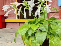 -终南山南五台景区