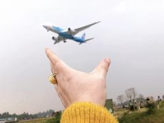 -空港花田景区