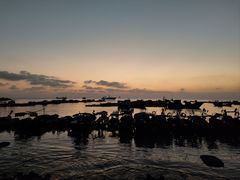 -硇洲岛旅游区