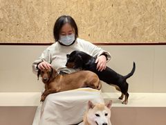 -和它·交个朋友·狗咖猫咖(爱琴海店)