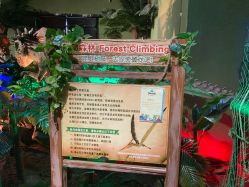 -恐龙探索乐园(磁器口店)