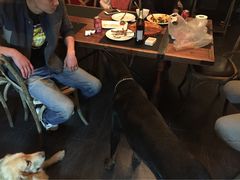 百好乐比萨-百好乐宠物友好餐厅(朝外大街店)