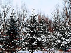 -长春公园(普阳街道)