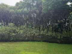 -贡湖湾湿地公园