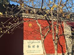 -红螺寺