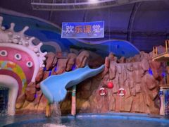-烟台海昌鲸鲨海洋公园