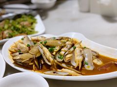 蛏子-华盛丰温州大排档(东三环南路店)