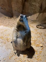 -酷嗒动物文化乐园(cutezoo西溪乐天城店)