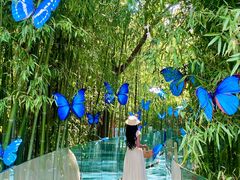-竹泉村旅游度假区